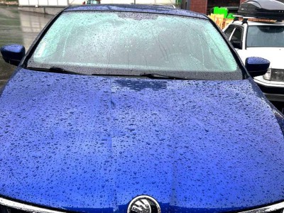 Антихром на Skoda Rapid