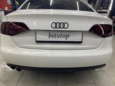 Тонирование задней полусферы Audi A4