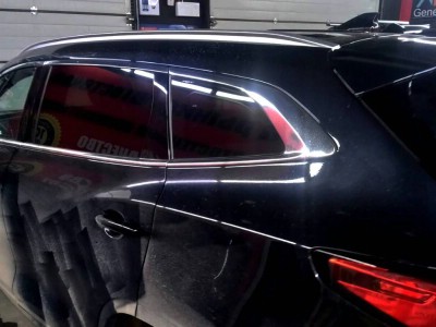 Тонирование задней полусферы Exeed