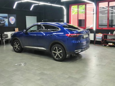 Тонирование задней полусферы Haval F7x
