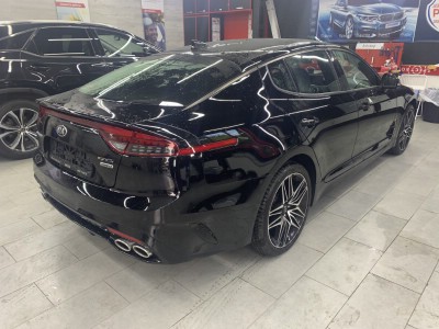 Тонирование задней полусферы Kia Stinger