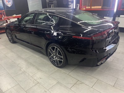 Тонирование задней полусферы Kia Stinger