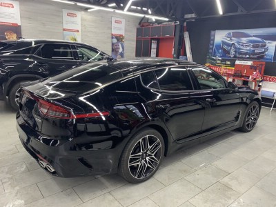 Тонирование задней полусферы Kia Stinger