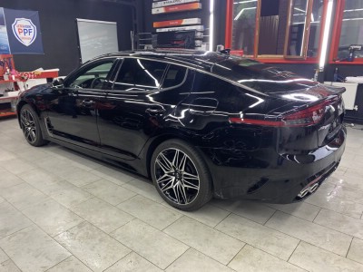 Тонирование задней полусферы Kia Stinger
