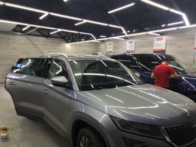 Тонирование задней полусферы Skoda Kodiaq 2017-