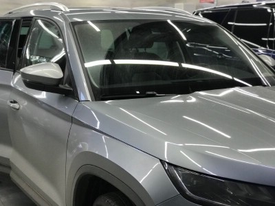 Тонирование задней полусферы Skoda Kodiaq 2017-