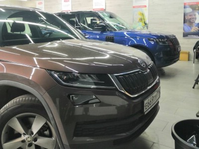 Тонирование задней полусферы Skoda Kodiaq 2017-