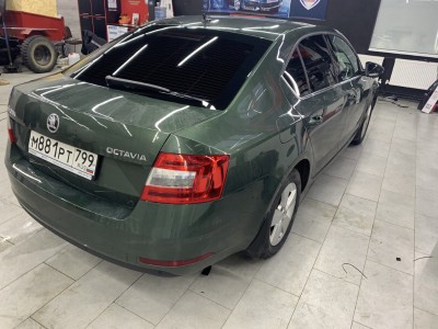 Тонирование задней полусферы остекления авто Skoda Octavia А7