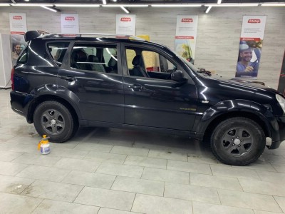 Ssangyong Rexton 2002- Тонирование задней полусферы