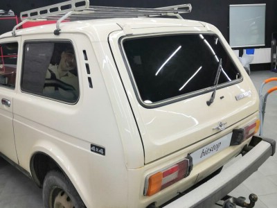 Тонирование задней полусферы ВАЗ 2121 (НИВА)