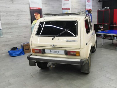 Тонирование задней полусферы ВАЗ 2121 (НИВА)