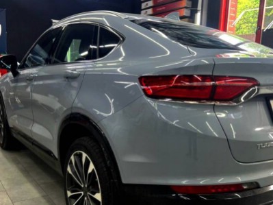 Тонирование задней полусферы 15% и защита фар полиуретановой пленкой Geely Tugella