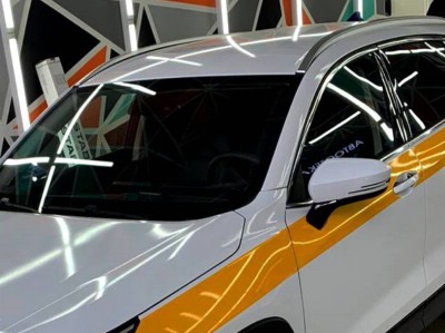 Тонирование задней полусферы 5% Exeed LX