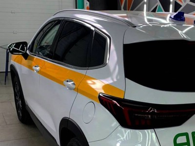 Тонирование задней полусферы 5% Exeed LX