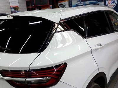 Тонирование Geely