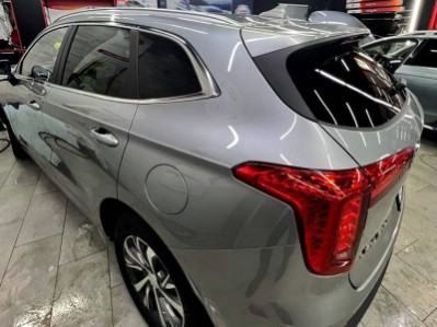 Тонирование задней полусферы Haval Jolion