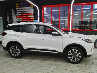 Тонирование задней полусферы Chery Tiggo 7 Pro