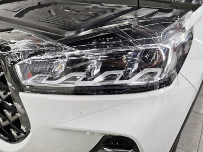 Тонирование задней полусферы Chery Tiggo 7 Pro