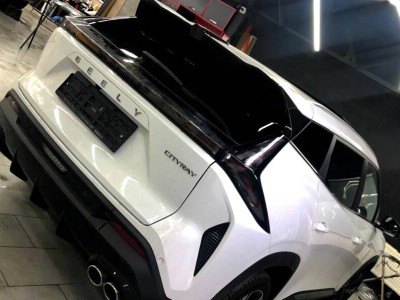 Тонирование задней полусферы на автомобиле Geely City Ray