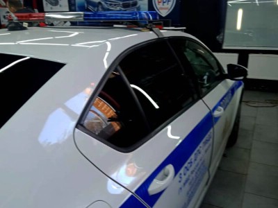 Тонирование задней полусферы на Skoda Octavia