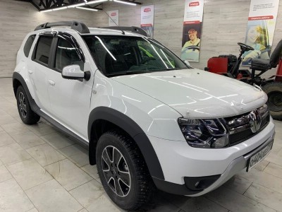 Тонирование задней полусферы Renault Duster