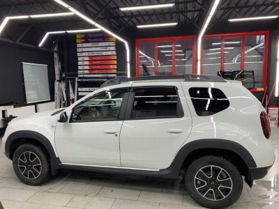 Тонирование задней полусферы Renault Duster