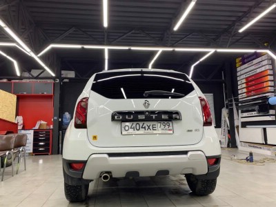Тонирование задней полусферы Renault Duster
