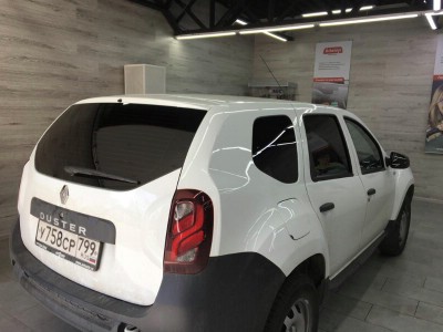 Тонирование задней полусферы Renault Duster