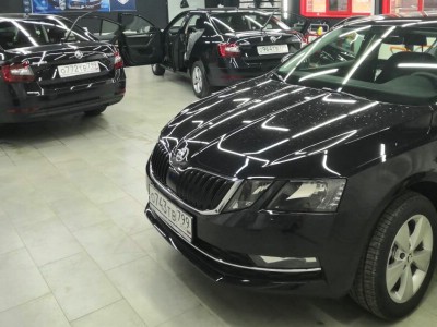 Тонирование задней полусферы Skoda Octavia 2013-