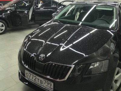 Тонирование задней полусферы Skoda Octavia 2013-