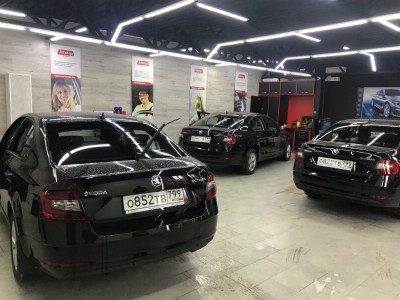 Тонирование задней полусферы Skoda Octavia 2013-