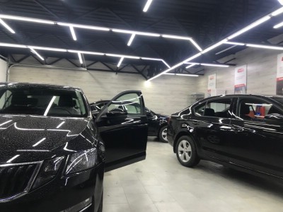 Тонирование задней полусферы Skoda Octavia 2013-