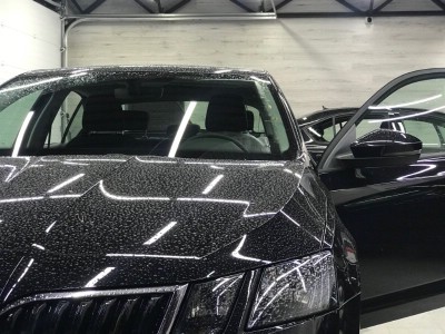 Тонирование задней полусферы Skoda Octavia 2013-