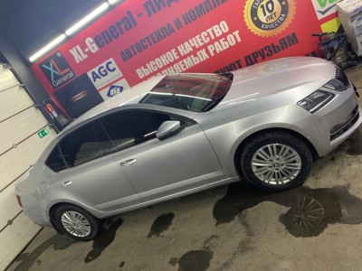 Тонирование задней полусферы Skoda Octavia A7