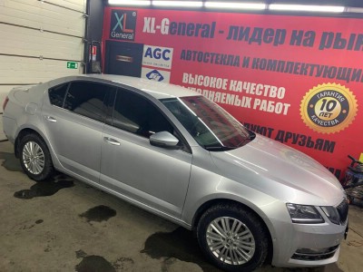 Тонирование задней полусферы Skoda Octavia A7