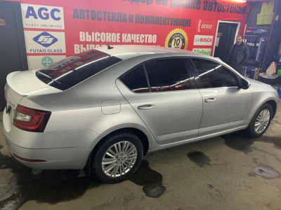 Тонирование задней полусферы Skoda Octavia A7