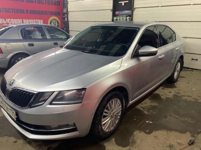 Тонирование задней полусферы Skoda Octavia A7