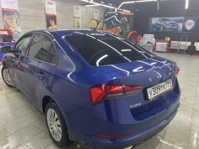 Тонирование задней полусферы Skoda Rapid 5D Liftback 2020-