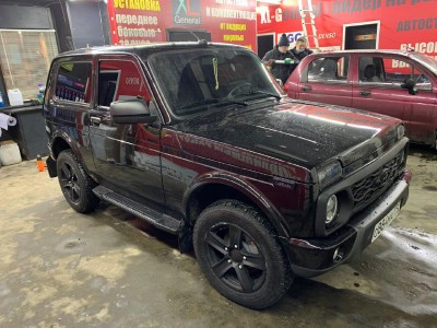 Тонирование задней полусферы ВАЗ 2121