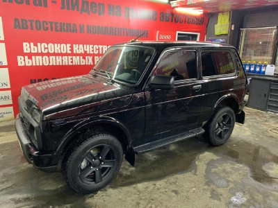 Тонирование задней полусферы ВАЗ 2121